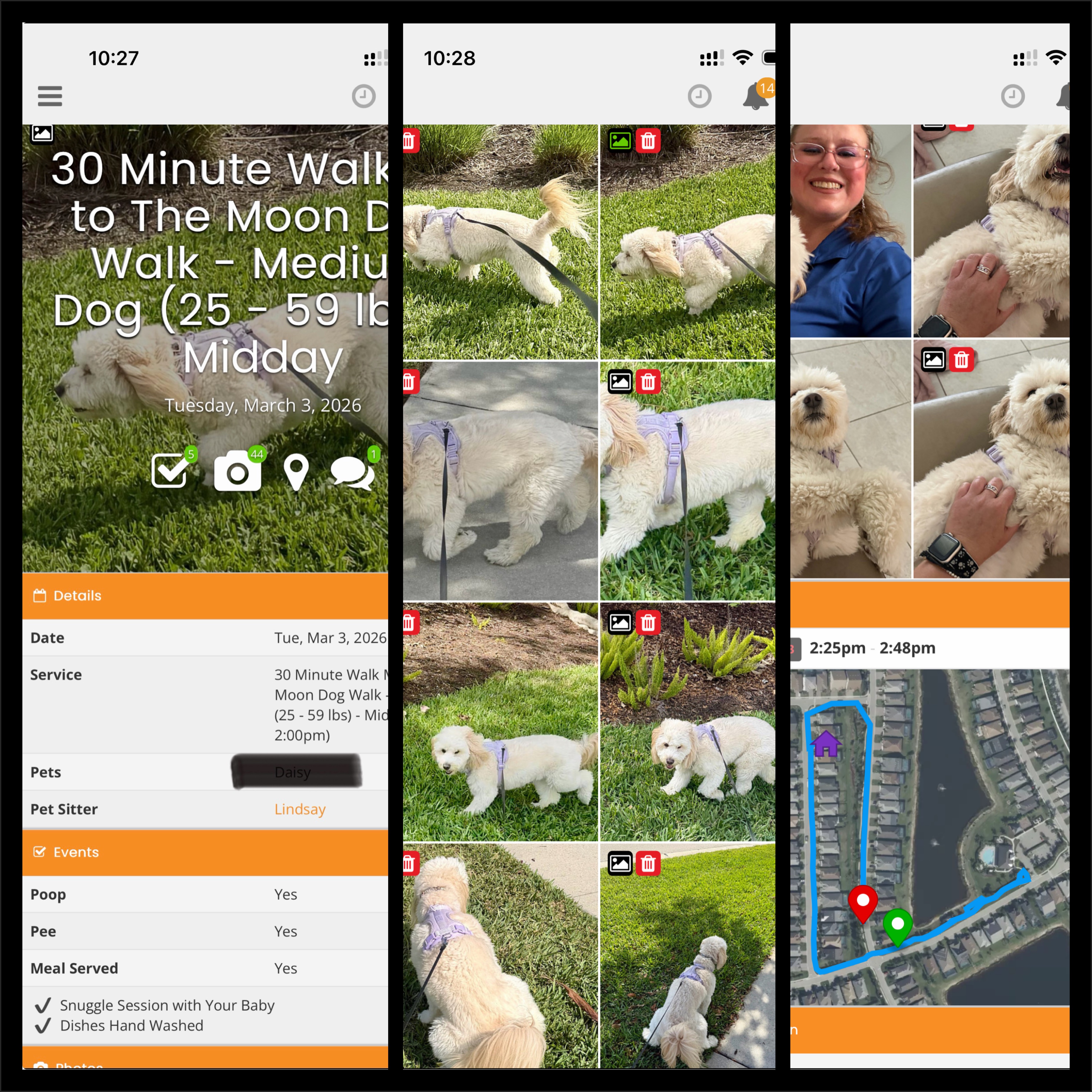 Personalized pet care